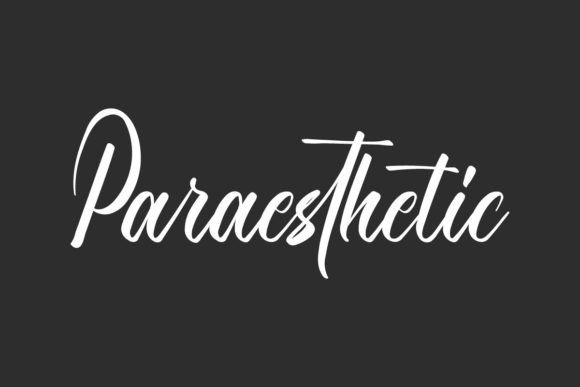 Paraesthetic: Elevating Visual Communication with Elegant Typography
