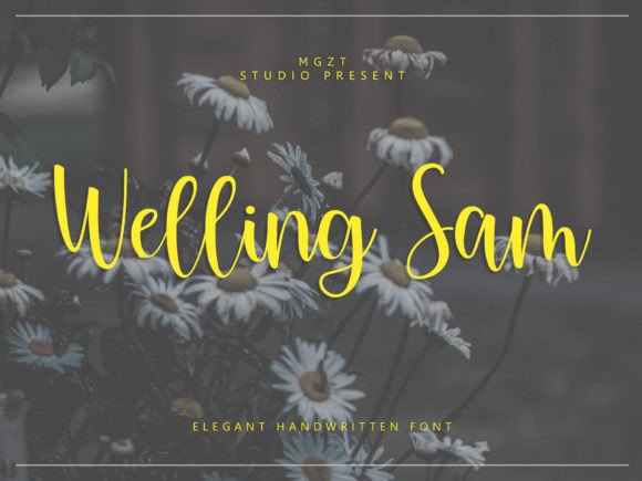 The Elegance of Welling Sam in Modern Design